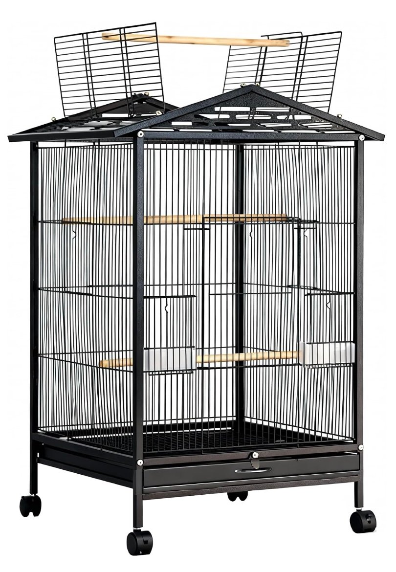 Best tried-and-tested cockatiel cage – with a stand, only 229 riyals. Cockatiel cage