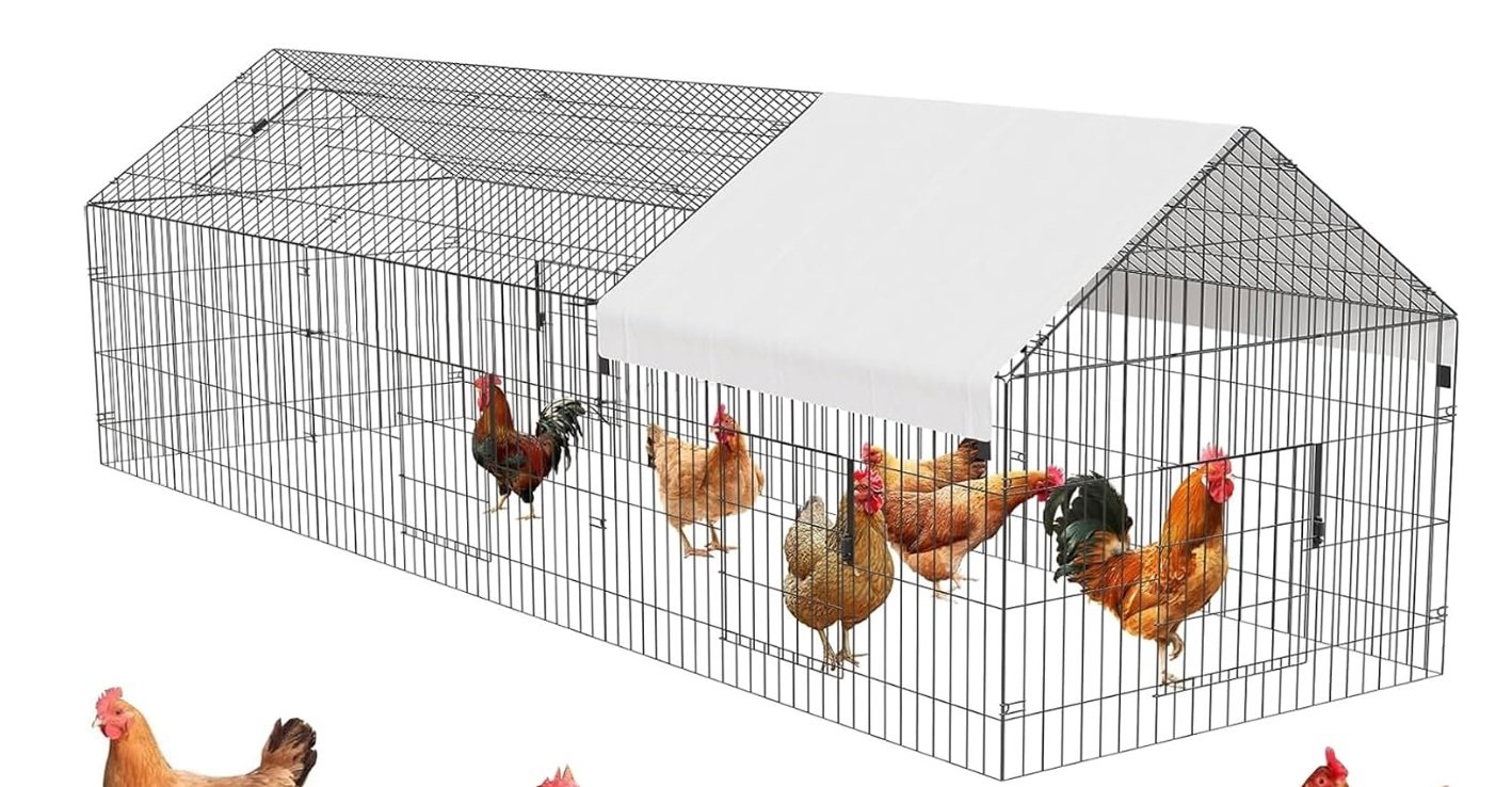 Chicken cage
